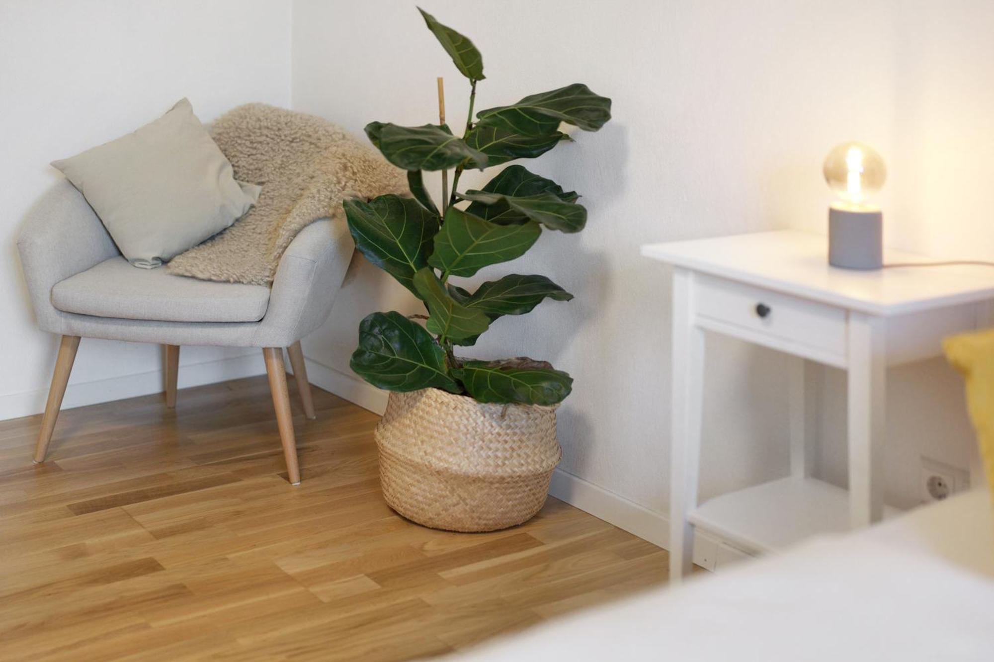 Ferienwohnung Obsthof Fiess โอเบอร์เคียร์ช ภายนอก รูปภาพ